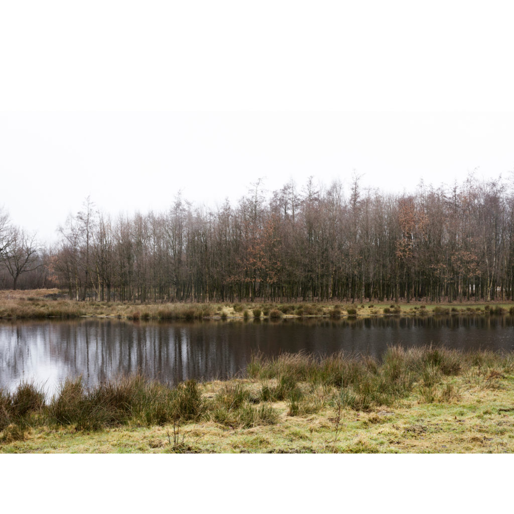 #12C North (Current) – Smilde