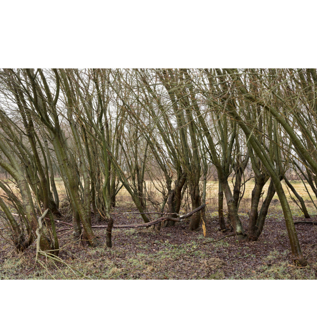 #12C East (Current) – Smilde