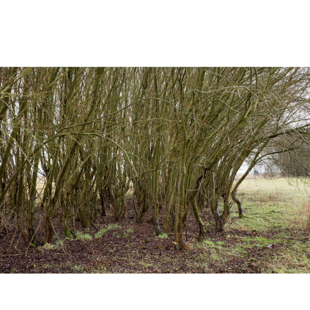 #12C South (Current) – Smilde