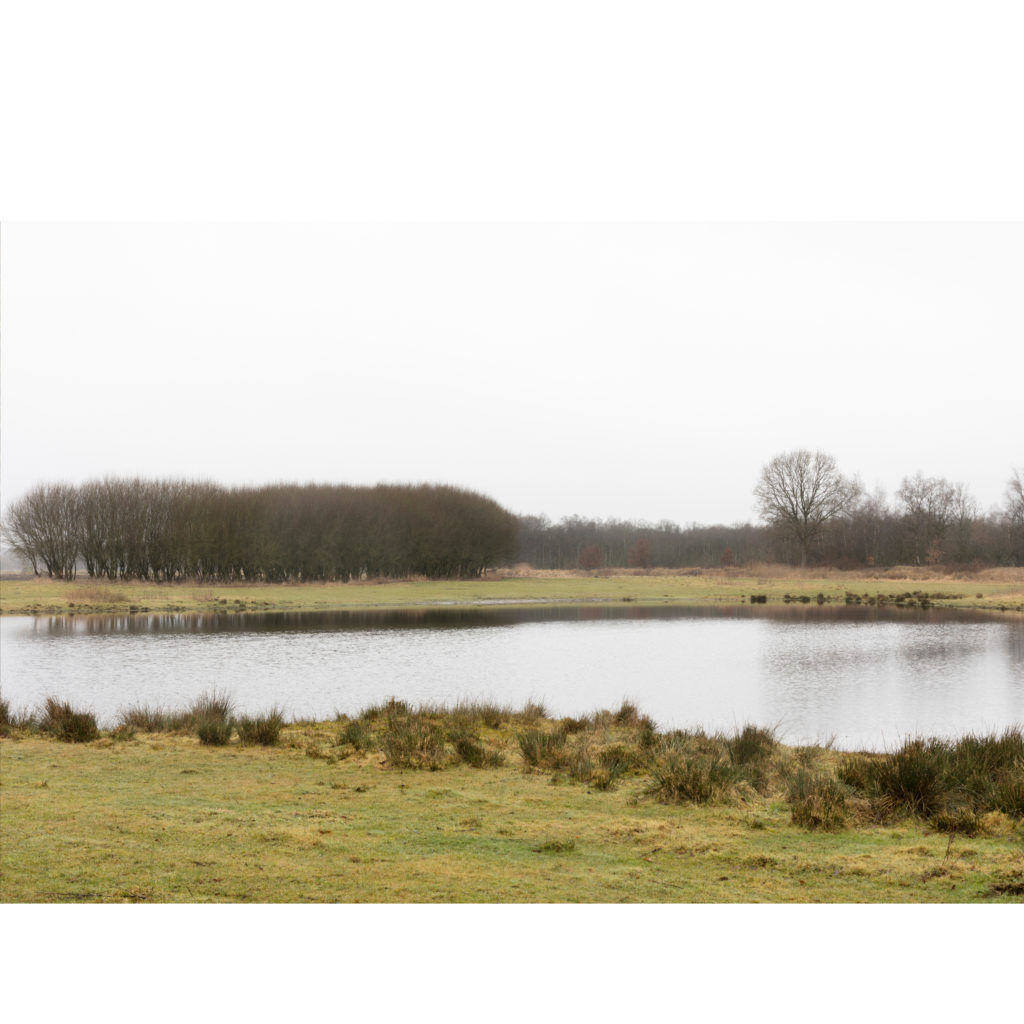 #12C West (Current) – Smilde