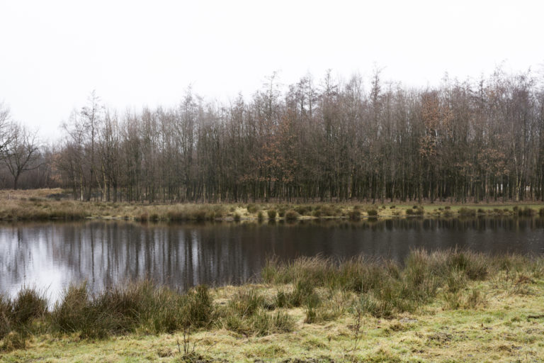 #12C North (Current) – Smilde