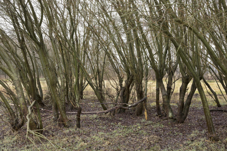 #12C East (Current) – Smilde