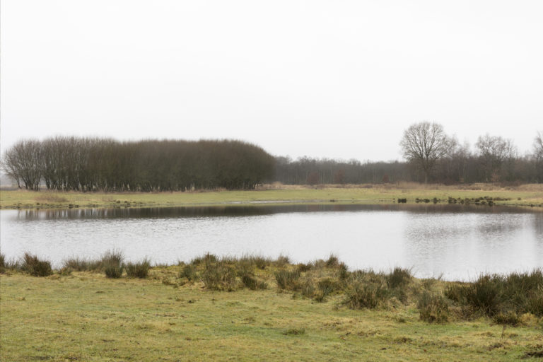 #12C West (Current) – Smilde