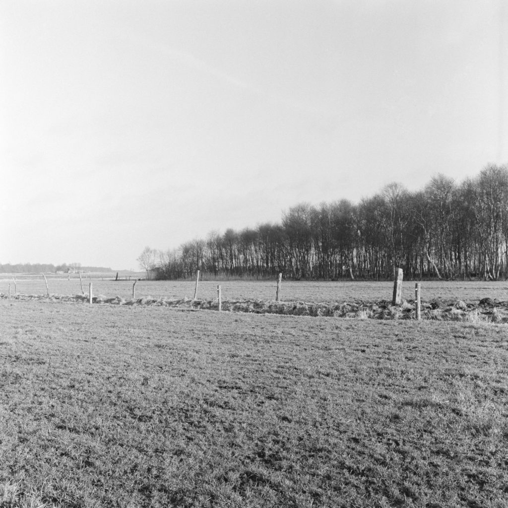 #12C East (Past) – Smilde