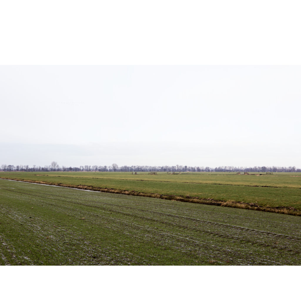 #38E North (Current) – Lopik