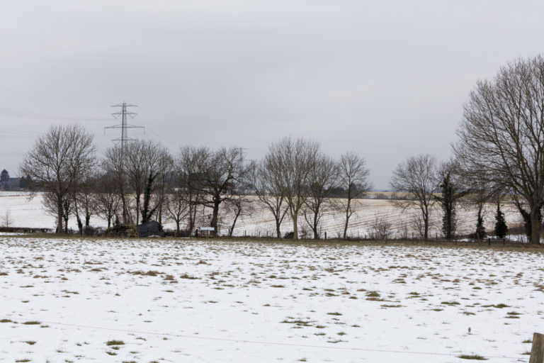 #62B West (Current) – Ubachsberg