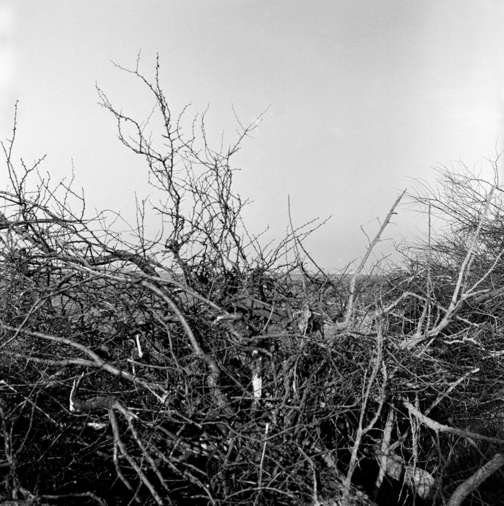 #62B North (Past) – Ubachsberg