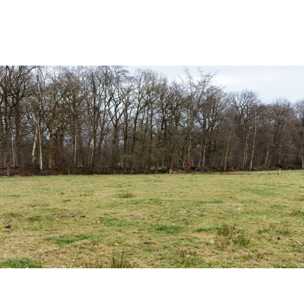 #50B East (Current) – Ulvenhout