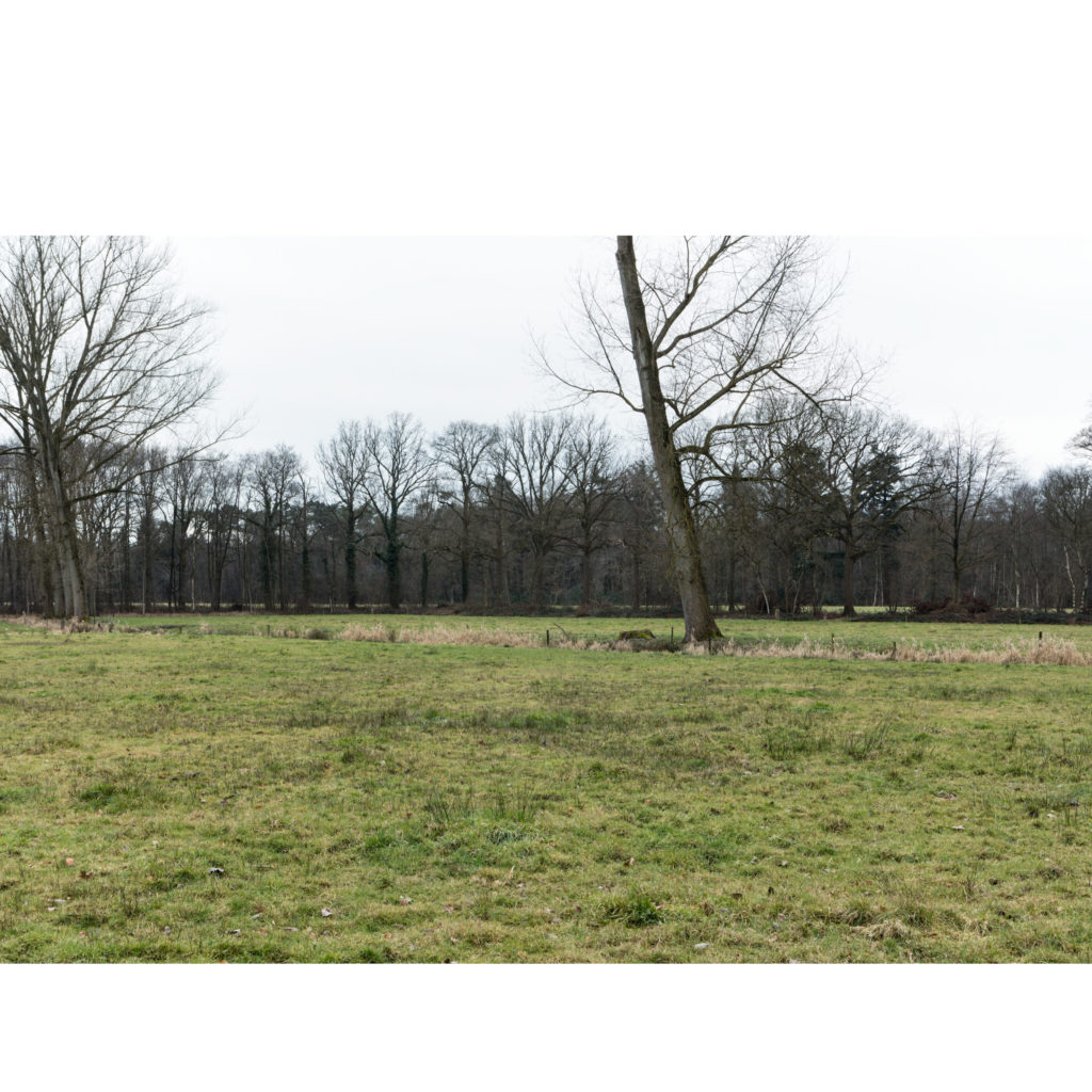 #50B South (Current) – Ulvenhout