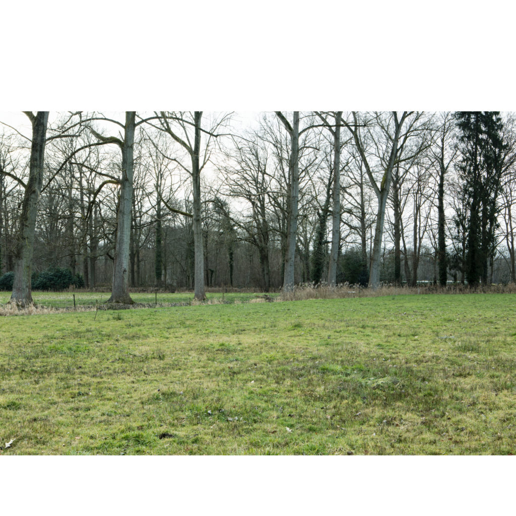 #50B West (Current) – Ulvenhout