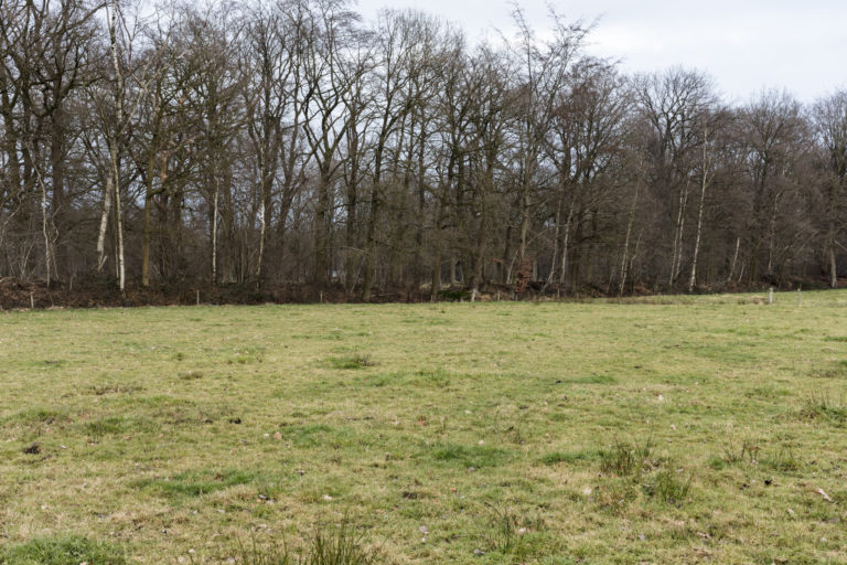 #50B East (Current) – Ulvenhout