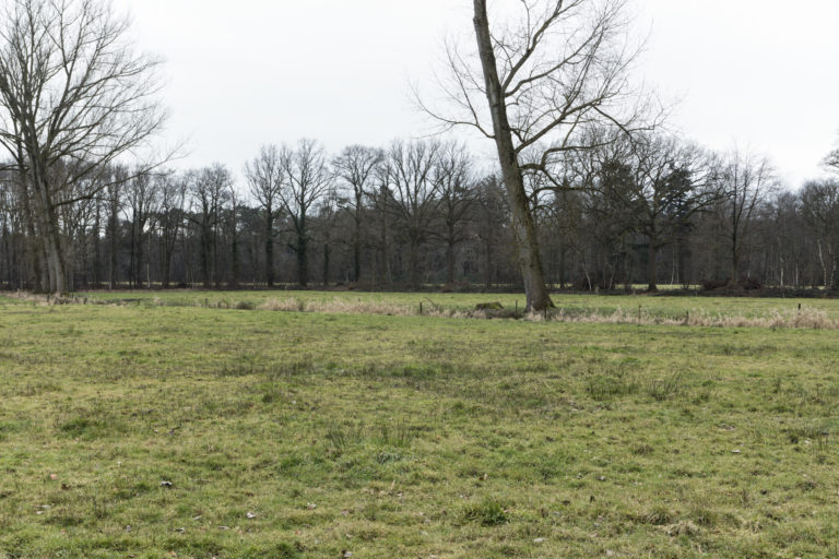 #50B South (Current) – Ulvenhout