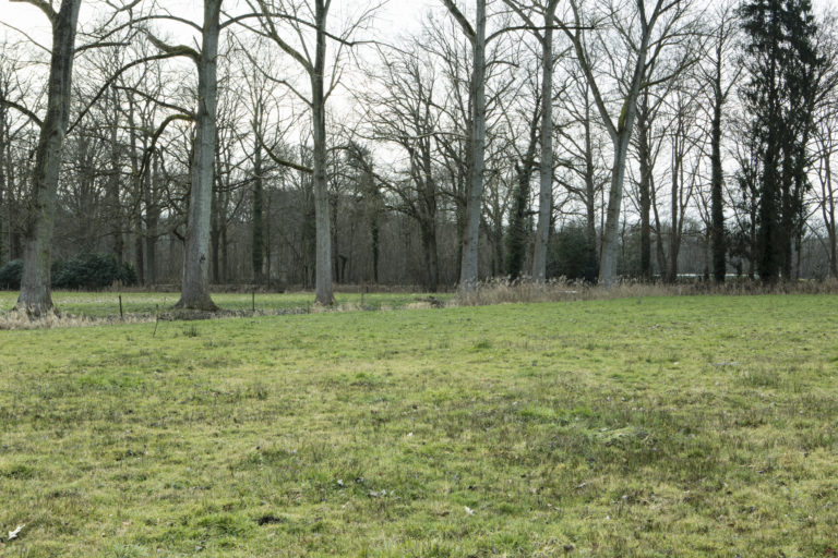 #50B West (Current) – Ulvenhout