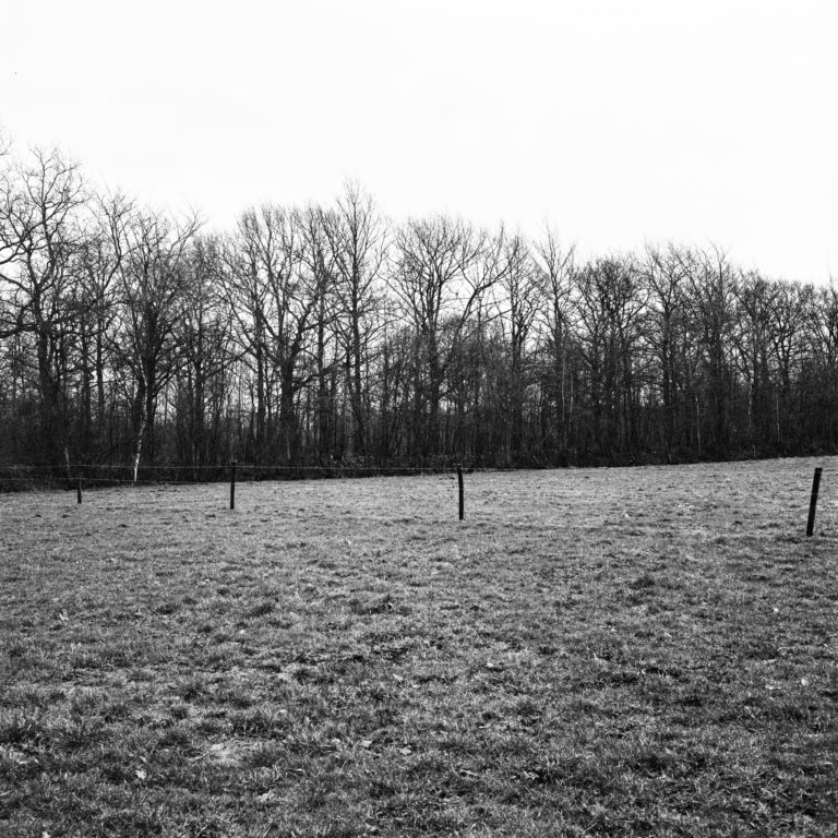 #50B East (Past) – Ulvenhout