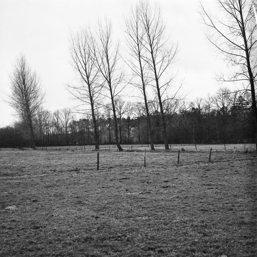 #50B South (Past) – Ulvenhout