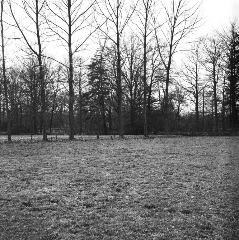 #50B West (Past) – Ulvenhout