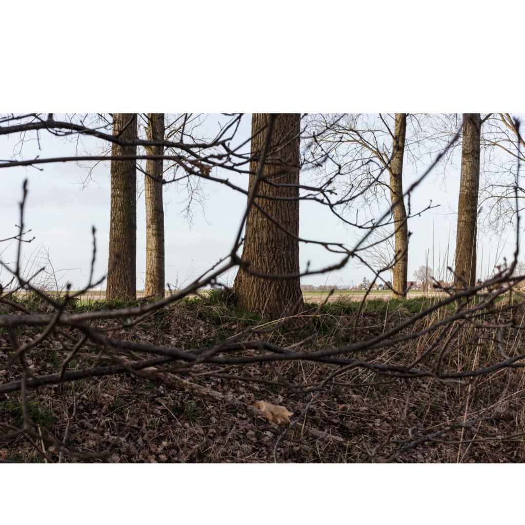 #55A North (Current) – Hulst