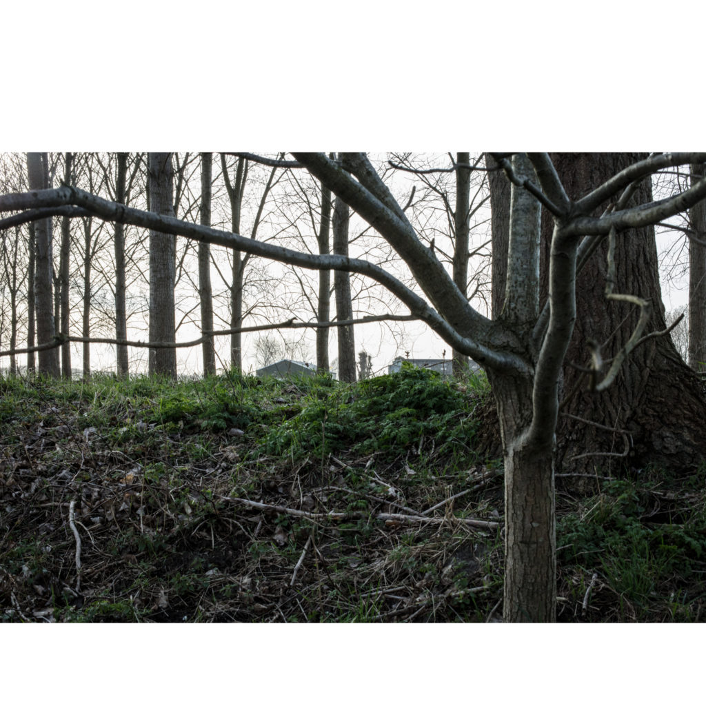 #55A West (Current) – Hulst