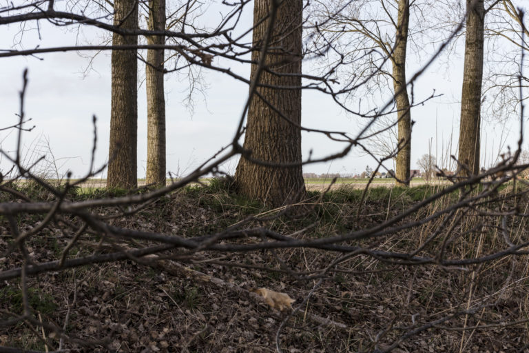 #55A North (Current) – Hulst