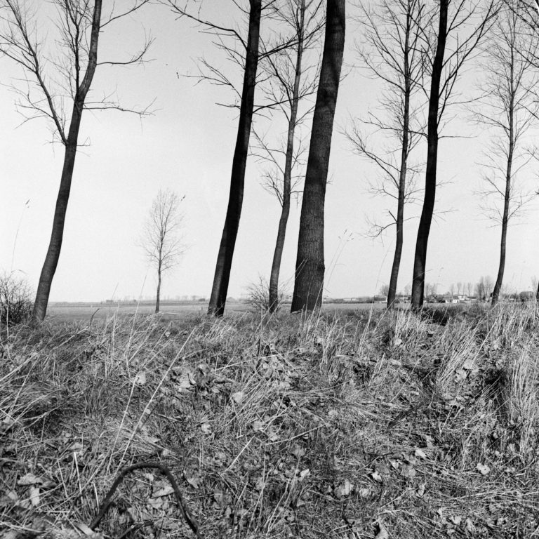 #55A North (Past) – Hulst