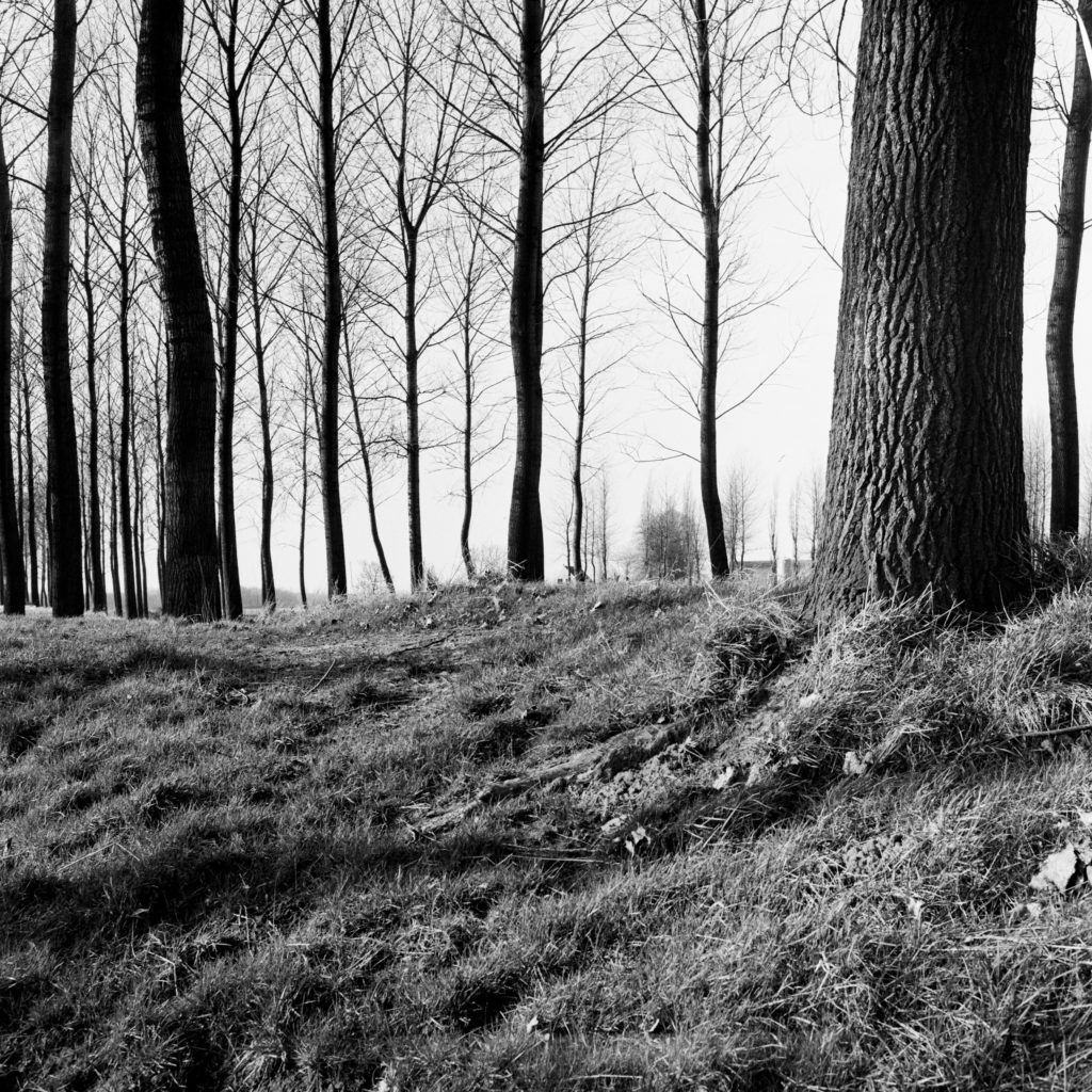 #55A West (Past) – Hulst