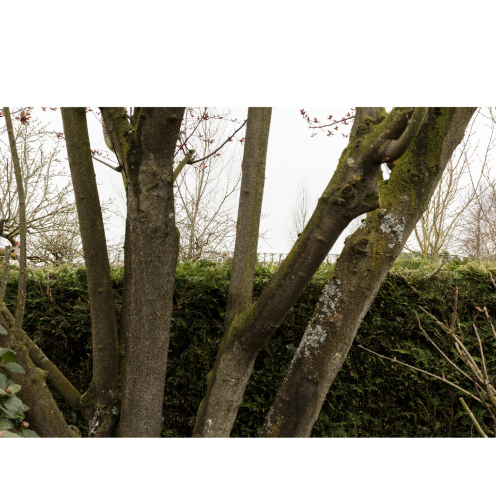 #48F East (Current) – Kattendijke