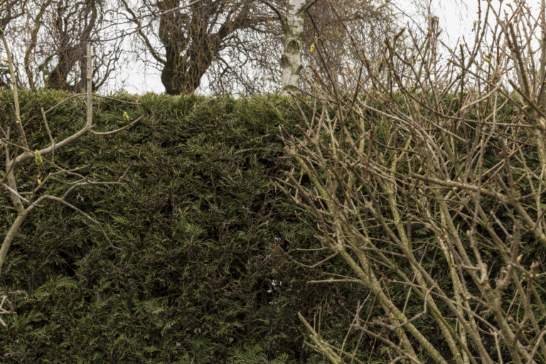 #48F North (Current) – Kattendijke