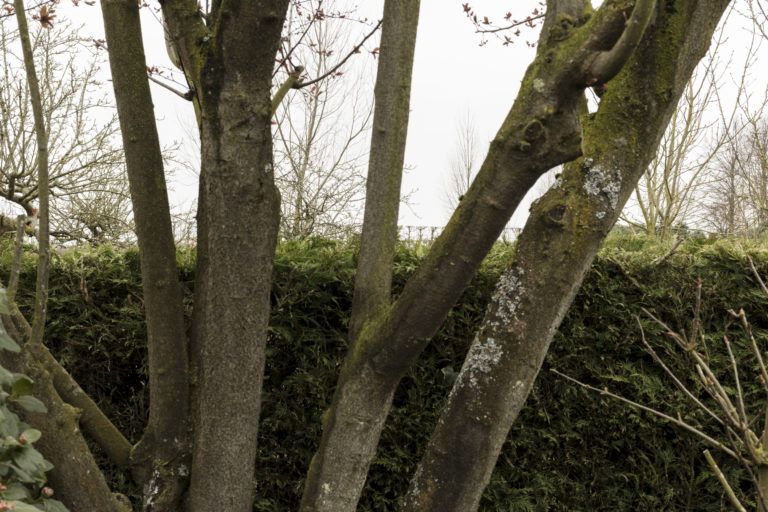 #48F East (Current) – Kattendijke