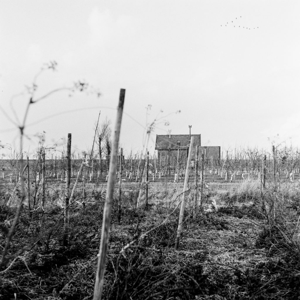 #48F North (Past) – Kattendijke