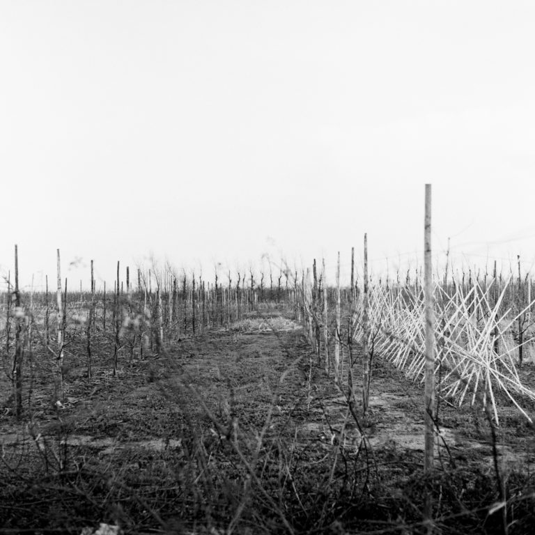 #48F East (Past) – Kattendijke