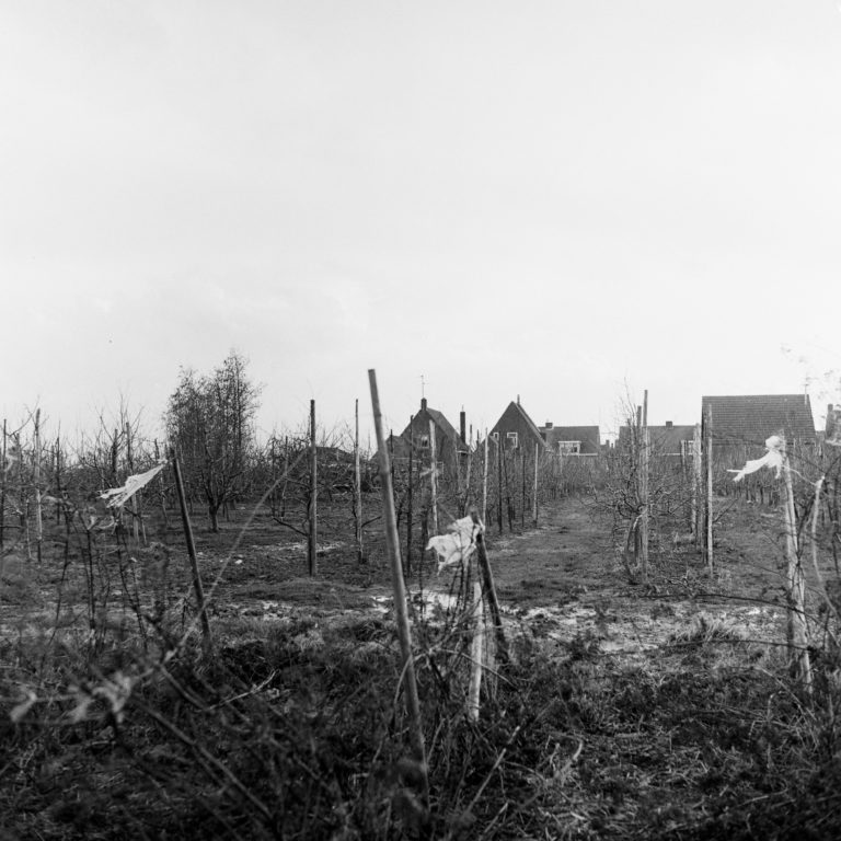 #48F South (Past) – Kattendijke