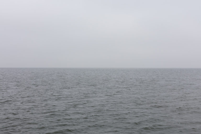 #14F East (Current) – Den Oever