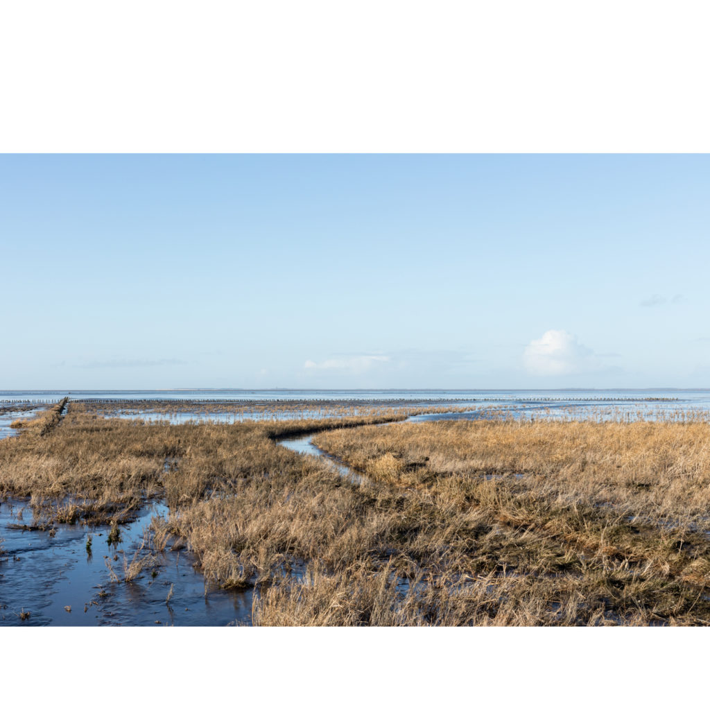 #5F North (Current) – Het Bildt