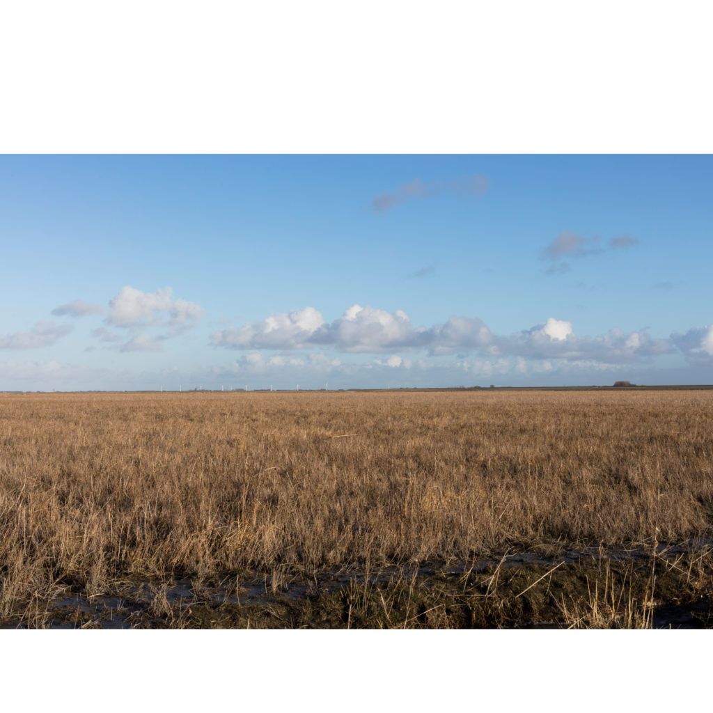 #5F East (Current) – Het Bildt