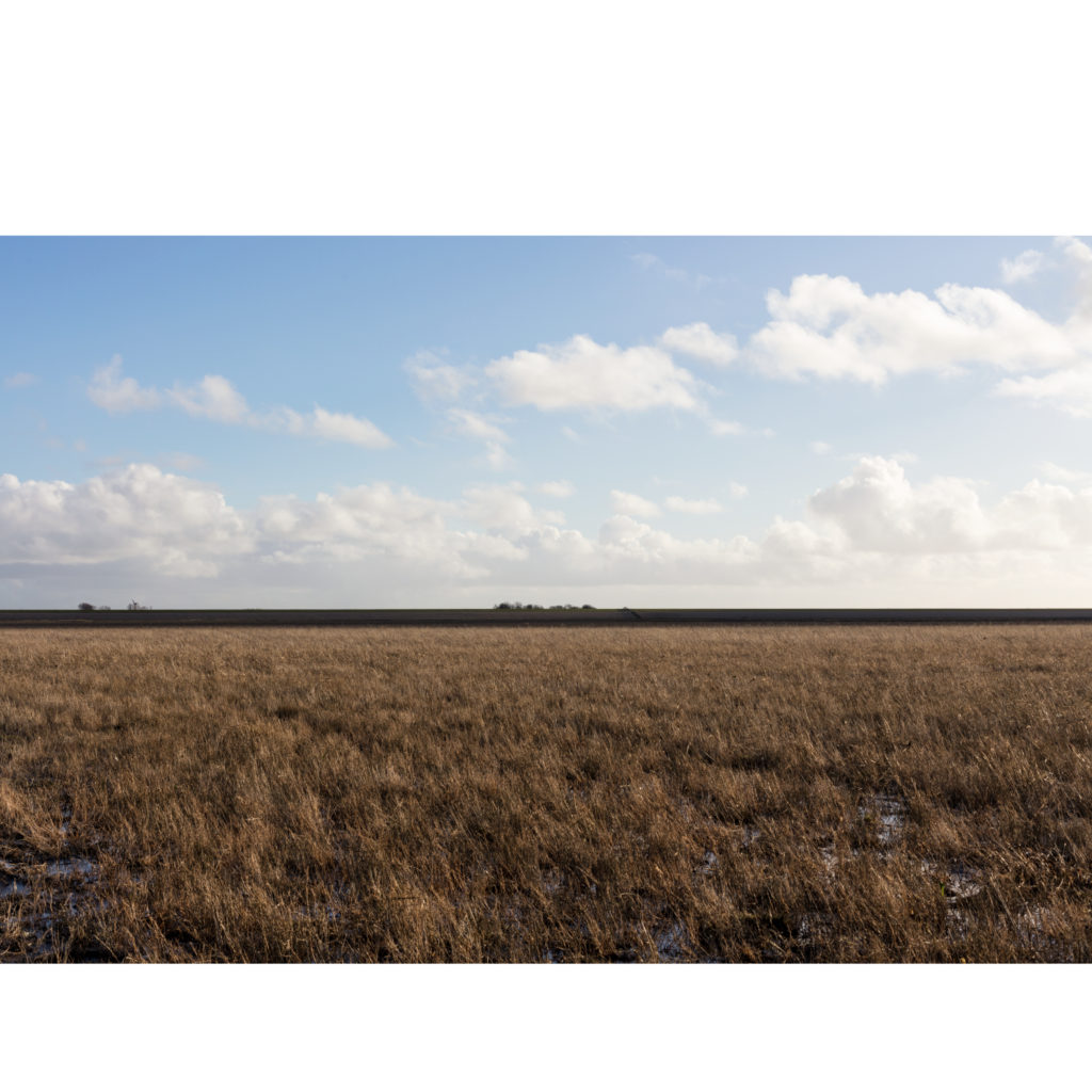 #5F South (Current) – Het Bildt