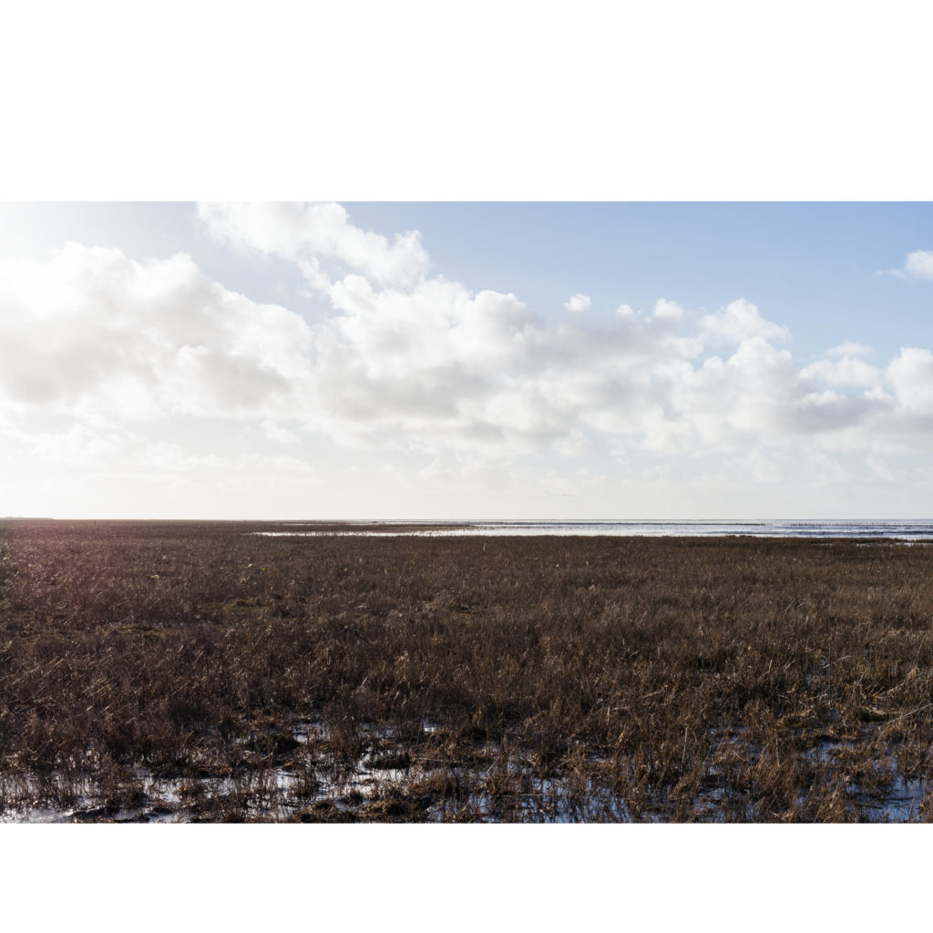 #5F West (Current) – Het Bildt