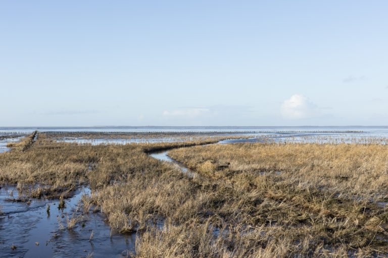 #5F North (Current) – Het Bildt