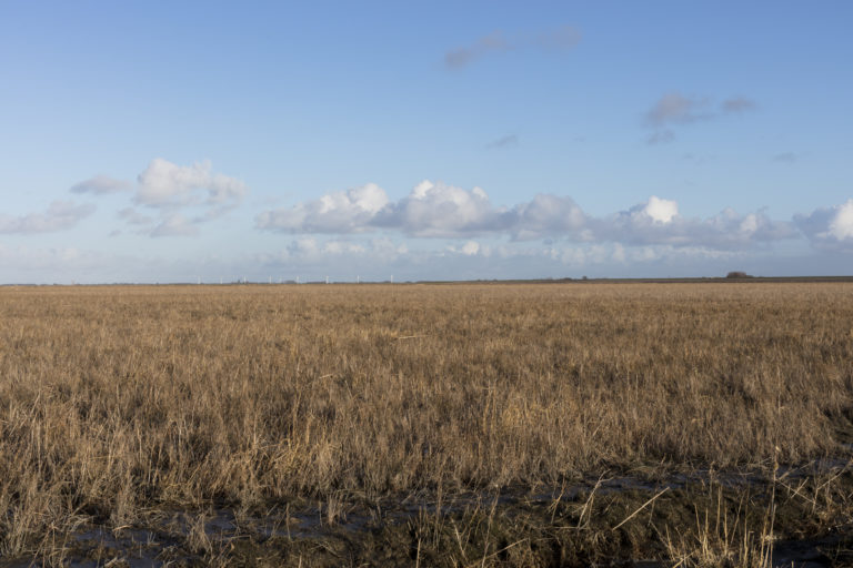 #5F East (Current) – Het Bildt