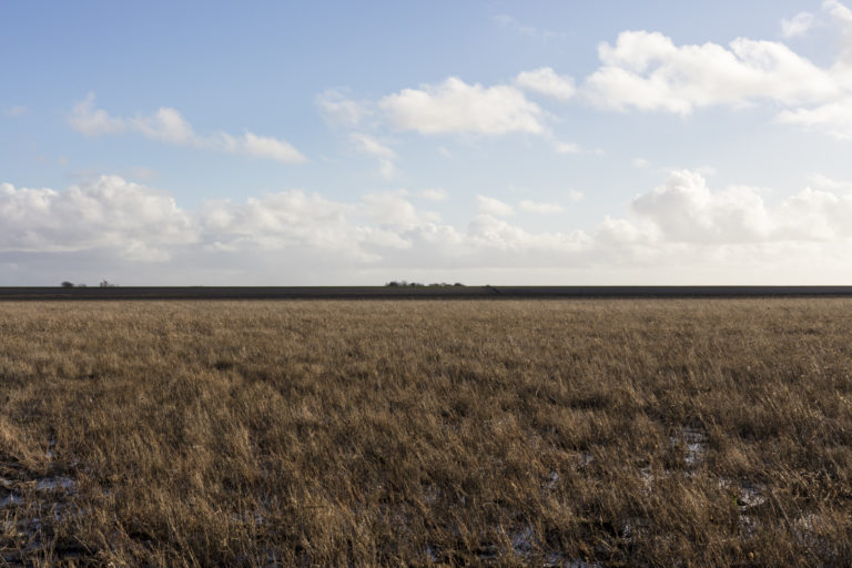 #5F South (Current) – Het Bildt