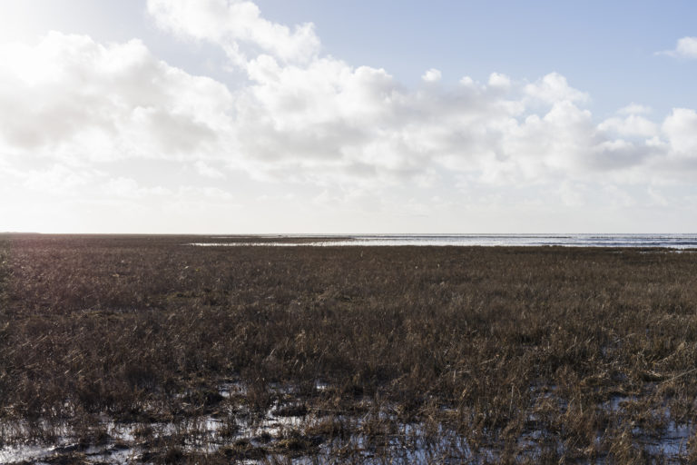 #5F West (Current) – Het Bildt