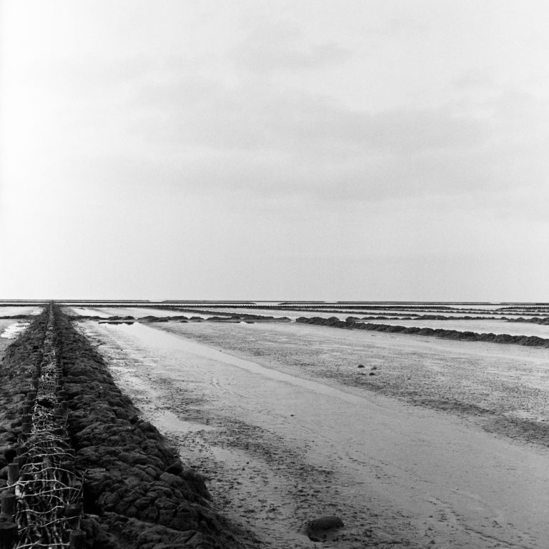 #5F North (Past) – Het Bildt