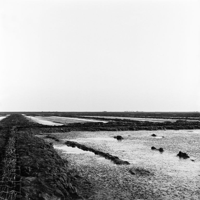 #5F South (Past) – Het Bildt