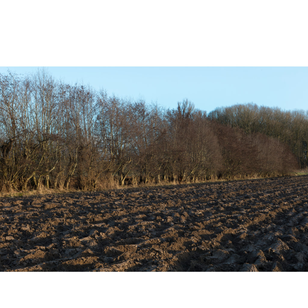 #44A East (Current) – Dordrecht