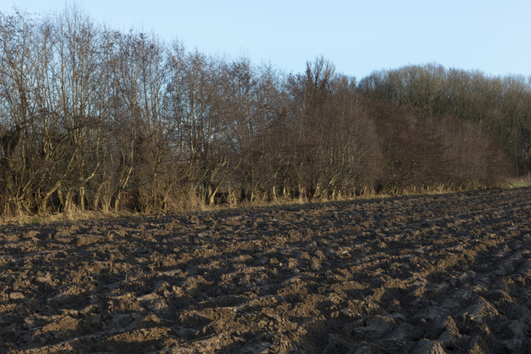 #44A East (Current) – Dordrecht