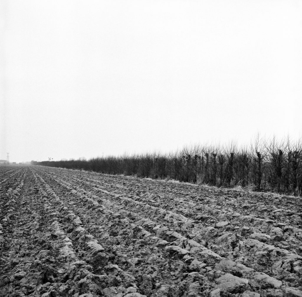 #44A North (Past) – Dordrecht