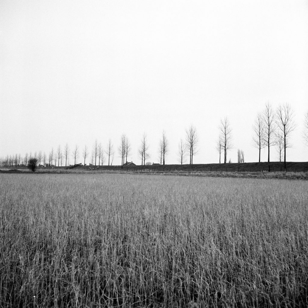 #43G East (Past) – Dinteloord