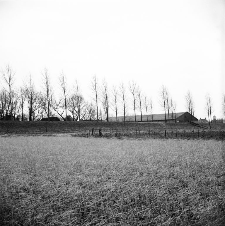 #43G South (Past) – Dinteloord