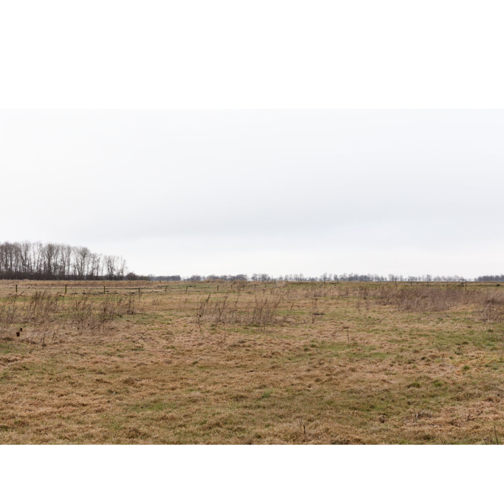 #12E North (Current) – Zuidlaren