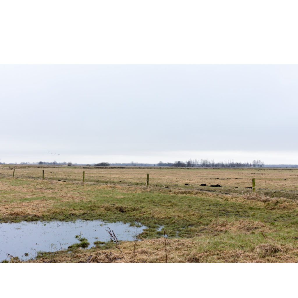 #12E South (Current) – Zuidlaren