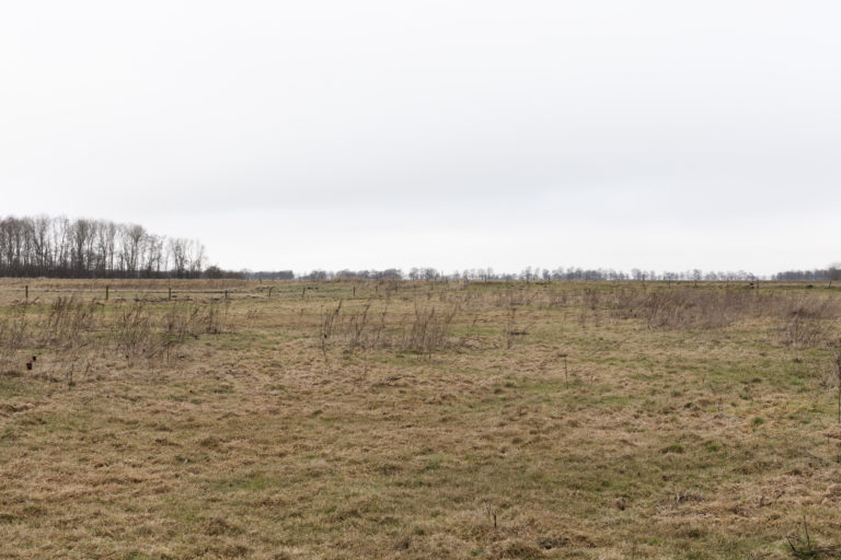 #12E North (Current) – Zuidlaren